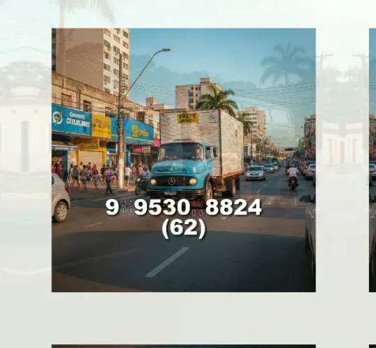 Frete disponível! Contato: 62?9?9530?8824 - Alessandro faz mudanças rápidas e seguras!