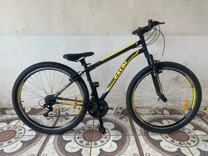 Bicicleta Aro 29