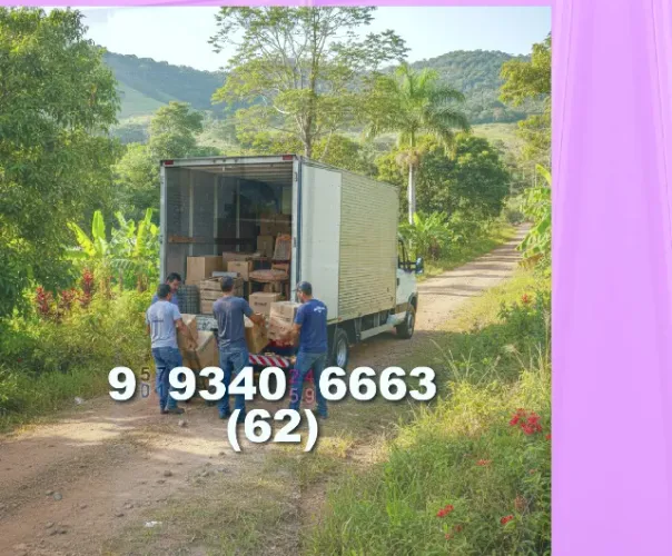 Frete para Setor Pedro Ludovico | Transporte rápido e seguro!