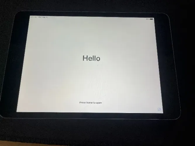 iPad Mini 2