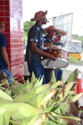 Sanfoneiro Zabumbeiro e Triangulista - Trio de Forró Nordestino para Festa de São João 