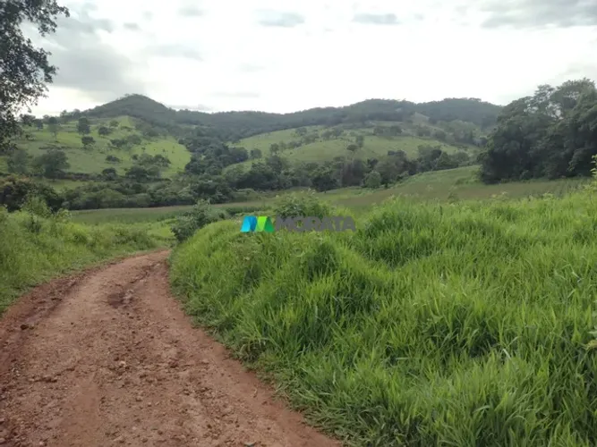 FAZENDA À VENDA - 176 HECTARES - SÃO JOSÉ DA VARGINHA (MG)