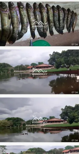 Sítio próximo Uberlândia