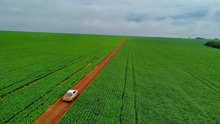 Fazenda 700 hect em União do Norte MT. Pede 800 saca por hec