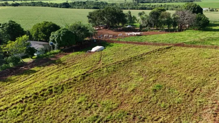 Chácara de 6 Hectares Bem Montada em Jaraguari-MS!