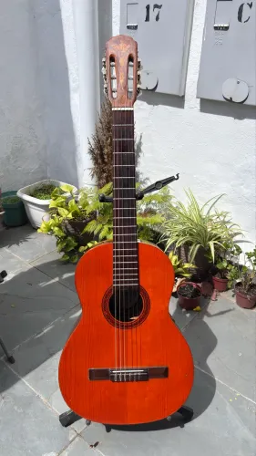 Violão Di Giorgio Signorina n°16 (1976)