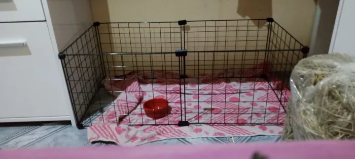 CERCADO PRA ROEDORES, CACHORROS E GATOS !