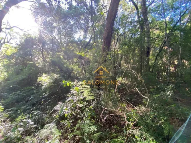 Salomone vende Terreno de 1100me por Apenas 30 mil....