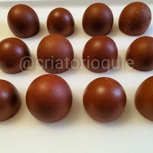 Ovos Galados de Galinha Marans (1 dúzia)