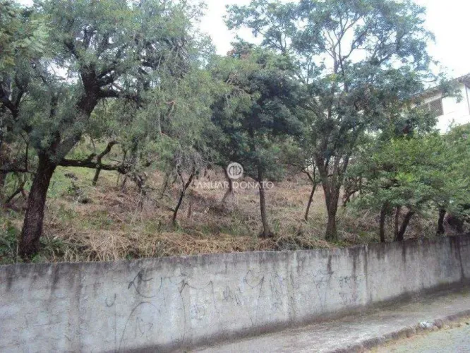 Mangabeiras - Lote / Terreno à venda na Anuar Donato