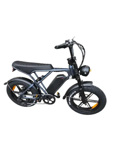 Bicicleta Elétrica 1000W Lítio 15AH ( BMX/V8 )