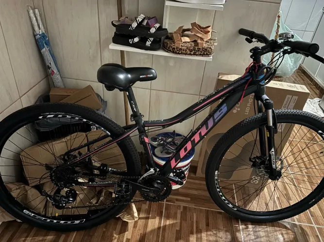 Bicicleta