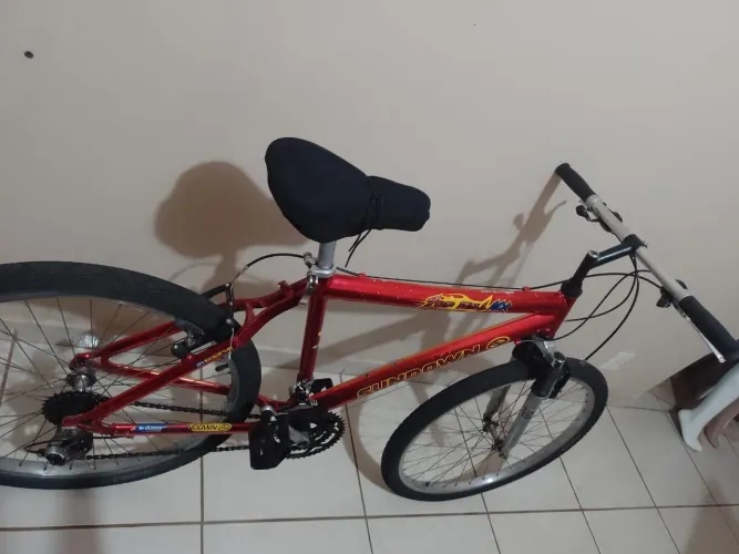 Bicleta