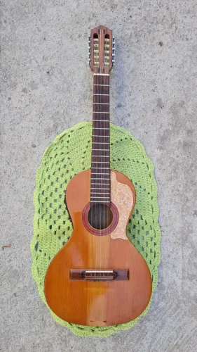Viola
