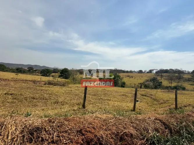 Chácara 8 Alqueires (38,72 Hectares) Edealina - GO