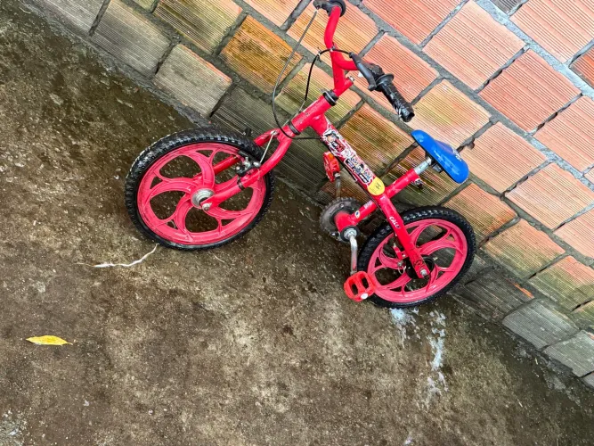 Bicicleta infa