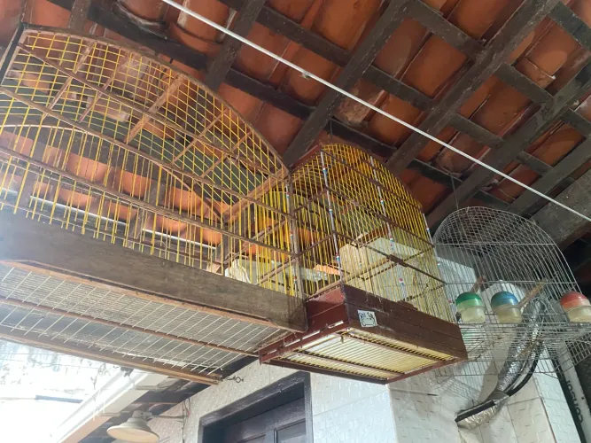 Vendo gaiolas em ótimo estado de conservação 