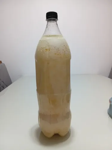 Banha de porco caipira