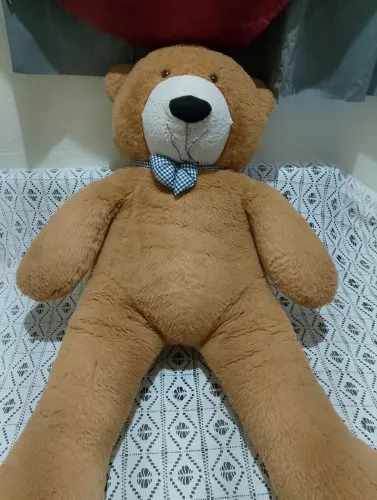 Urso gigante