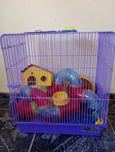 Gaiola pra Hamster