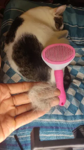 ESCOVA REMOVEDORA DE PÊLOS eficiente para cães e gatos