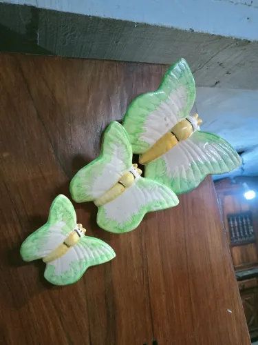 Trio de Borboletas antigas