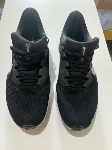 Nike Pegasus Novo