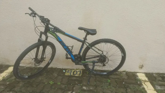 Bicicleta Ecos Aro 29