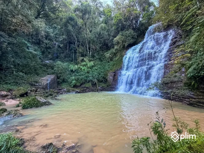 Sítio com Cachoeira à Venda em Alfredo Wagner  3,2 Hectares