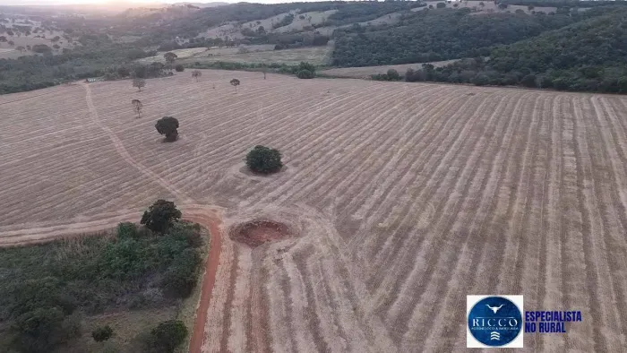 Fazenda à Venda em Bela Vista de Goiás - GO | 35 Alqueires | Lavoura, Pasto