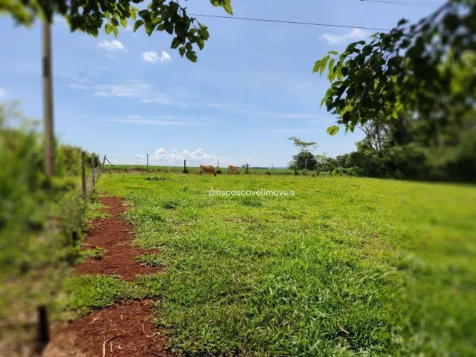 CHÁCARA EM MISSAL COM CASA E BARRACÃO, TOTALIZANDO 2,6 HECTARES