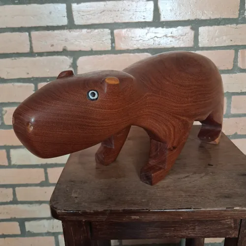 Banco Indígena Capivara Mehinako