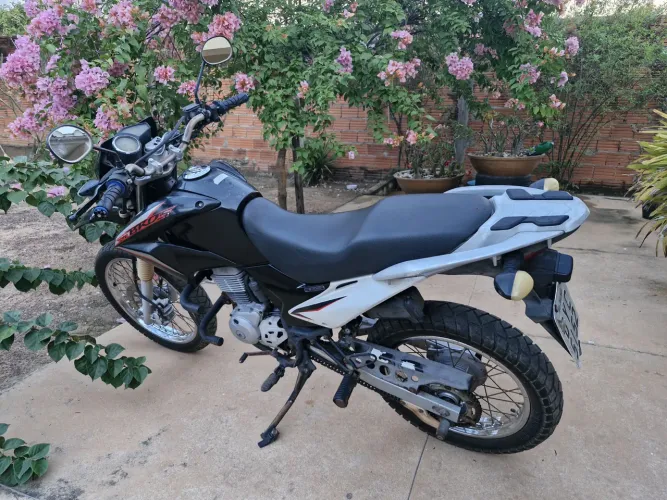 Honda bros