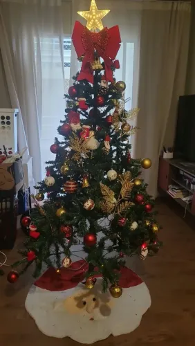 Árvore de natal