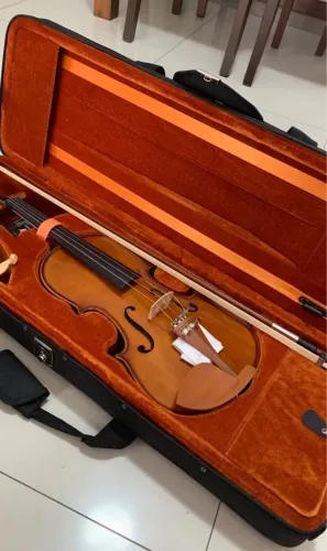 Violino 4/4 Eagle Ve 441 Ajustado Com Estojo Luxo Retangular