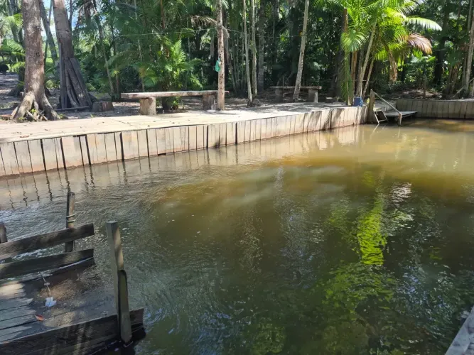 VENDA DE TERRENO COM IGARAPÉ