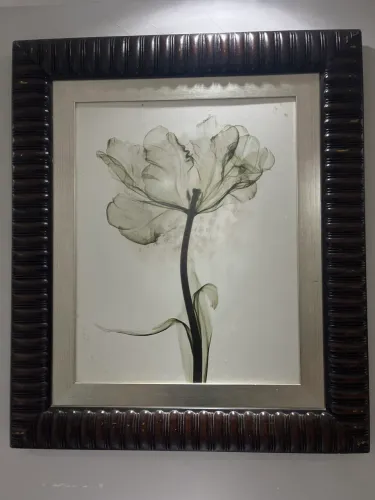 Quadro Flor Peônia