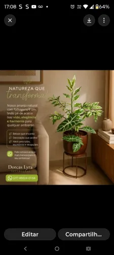 Lindas plantas de folhagens naturais(leia)