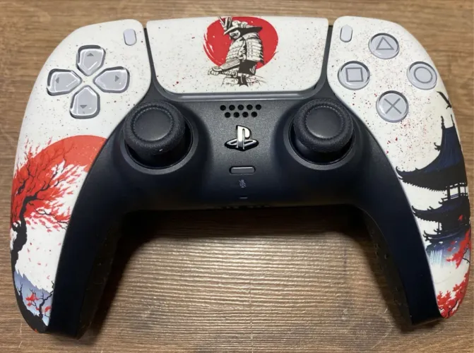 Controle PlayStation 5 High Performance (Paddle)