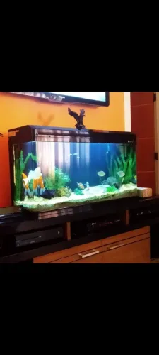 Vendo aquário Boyu 125 litros, água doce, iluminação em led, sistema de filtragem comleto.