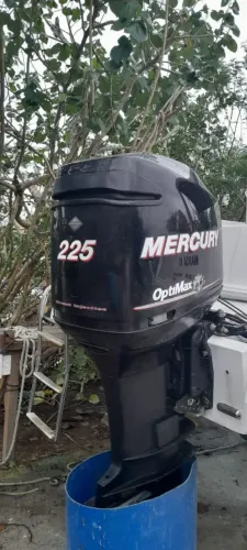 Motor optimax 225