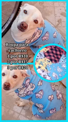 roupa de cachorro