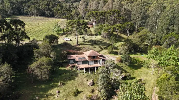 Terreno Rural| Produção de Uvas Viníferas e Shitake| Casa de alto padrão| Sítio 38 hectare