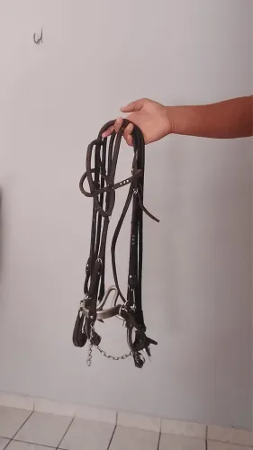 Cabeçada nova