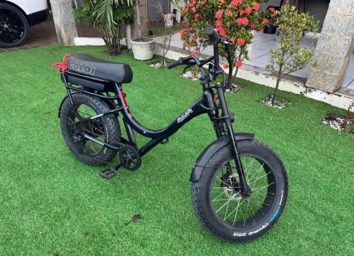 Bicicleta elétrica 1W