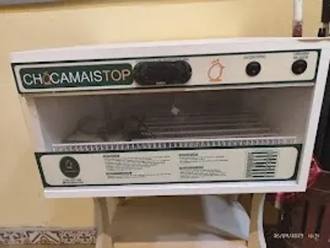 Chocadeira choca mais top 72 ovos 127 v
