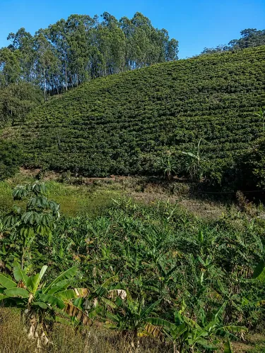 Vende-se sítio em Mimoso do Sul, Pedra Riscada