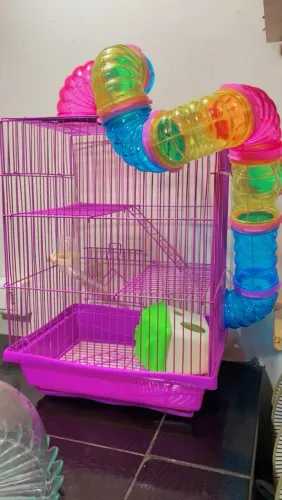 Gaiola de hamster