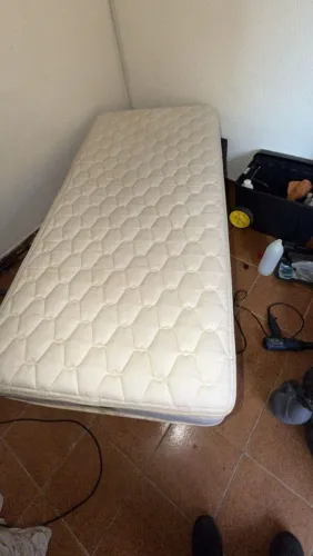 Cama Box Solteiro Sealy Back Saver ( Higienizada)