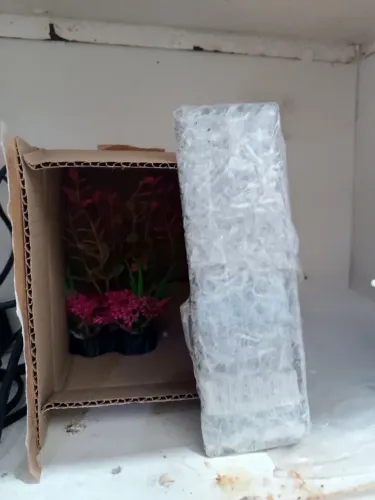 Vendo acessórios para aquário 